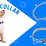 pet collar