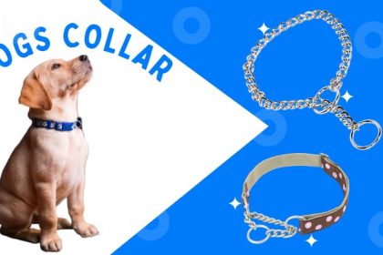 pet collar