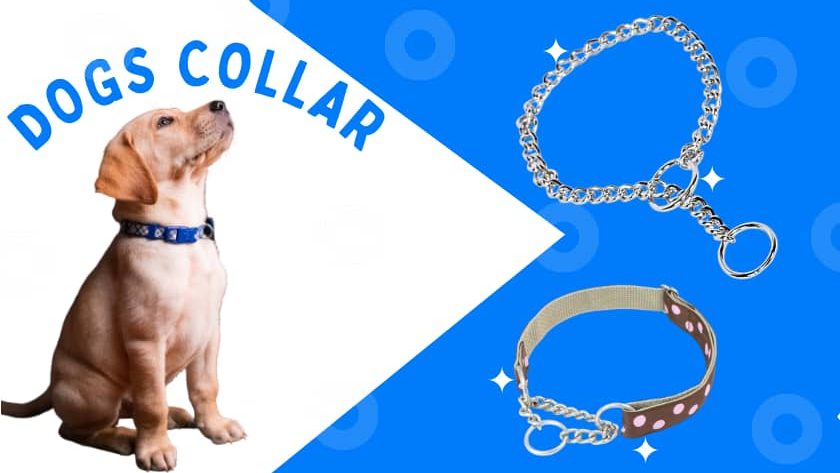 pet collar