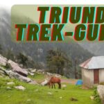 Triund Trek