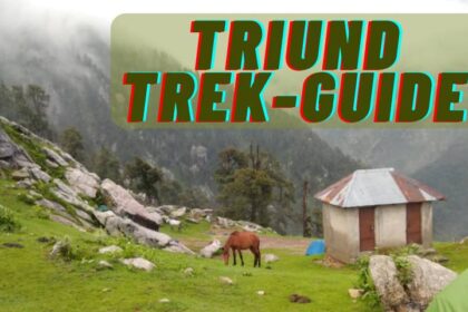 Triund Trek