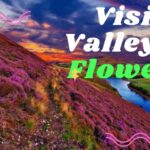 Best Time to Visit Valley of Flowers