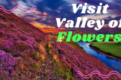 Best Time to Visit Valley of Flowers