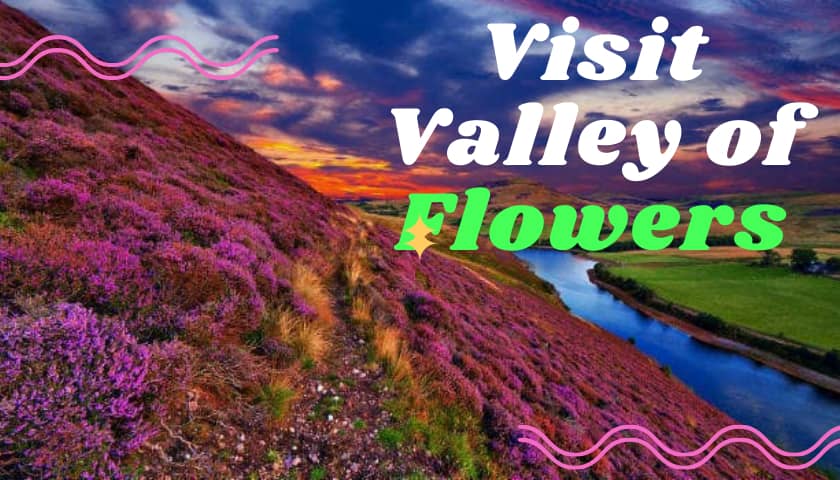 Best Time to Visit Valley of Flowers