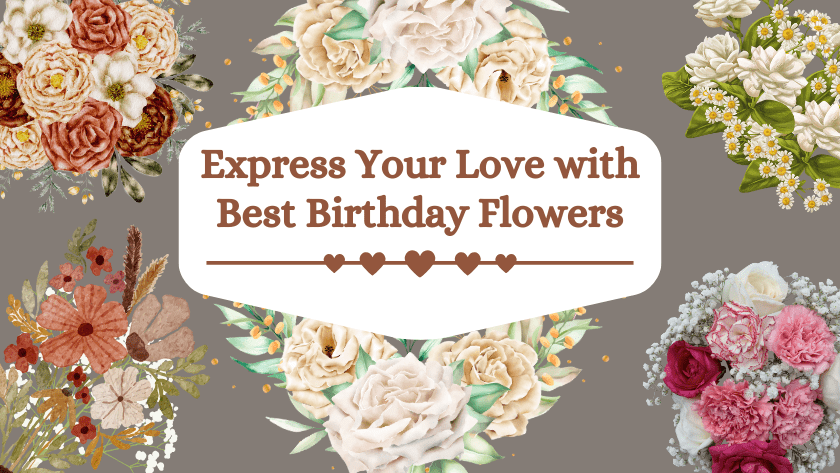 Express Your Love with Best Birthday Flowers