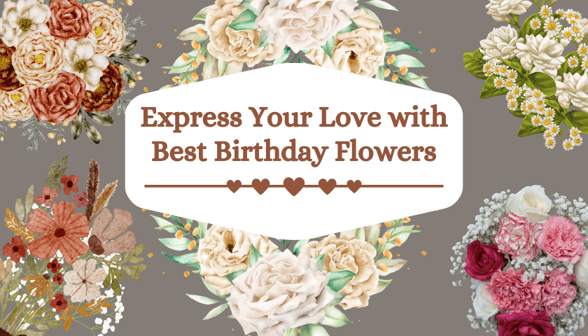 Express Your Love with Best Birthday Flowers