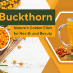 Sea Buckthorn