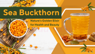 Sea Buckthorn