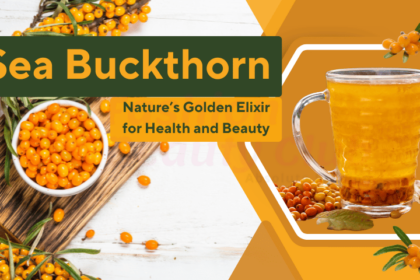 Sea Buckthorn