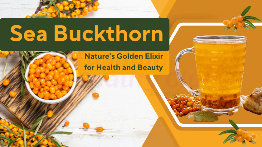 Sea Buckthorn