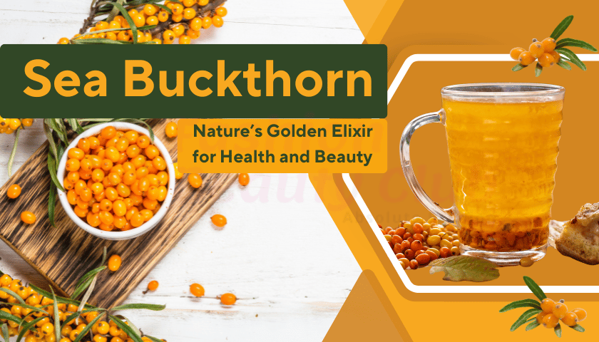 Sea Buckthorn